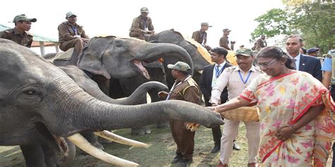 The President Of India Smt Droupadi Murmu Inaugurated The Gaj Utsav