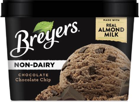 Breyers® Chocolate Chocolate Chip Dairy Free Ice Cream 1 5 Qt Harris