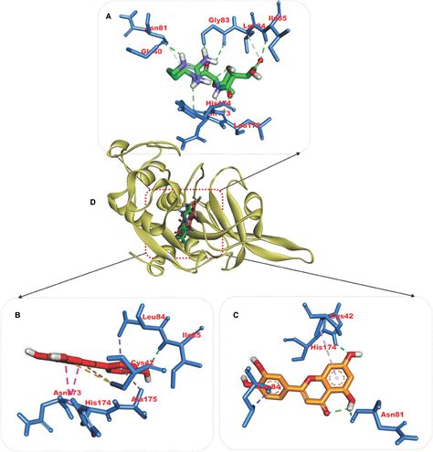 Evaluation Of Antimalarial Activity Of Ethanolic Extract Of Annona