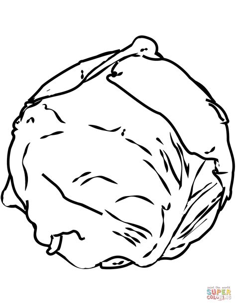 Cartoon Cabbage Coloring Page Outline Sketch Drawing