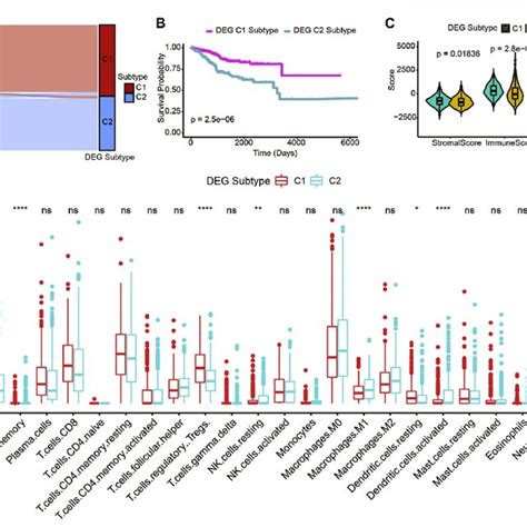 Verification Of The Predictive Value Of Gene Signature In The 2