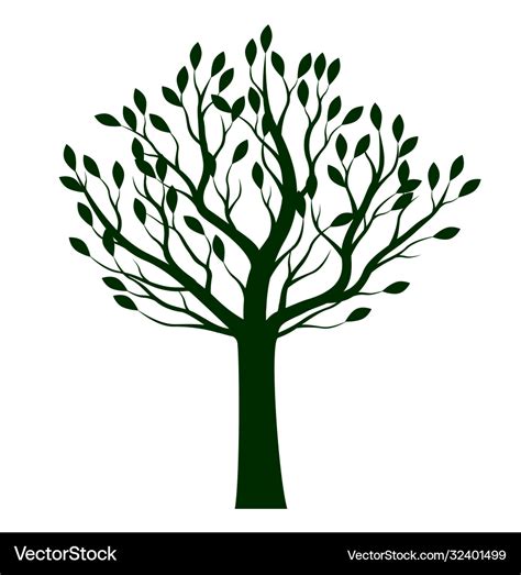 Summer Naked Tree Outline Plant Royalty Free Vector Image