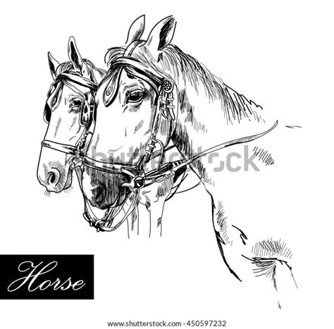 Horses Harness Ink Drawing Vintage Style เวกเตอร์สต็อก ปลอดค่า