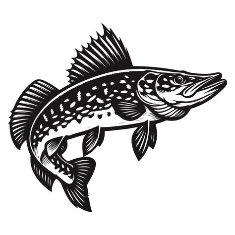 Free Northern Pike Fish Svg Black And White Svg Vector File For Laser