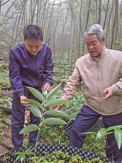 产教融合，迸发创新“智”力！三明学院积极培育新质生产力服务革命老区