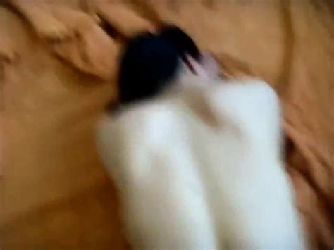 Sexy Chinese Amateur Lovers Slamming Part