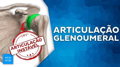 Articulação glenoumeral esses 2 conceitos são fundamentais anatomia