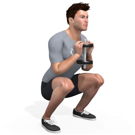 Dumbbells Goblet Squat Pulse Video Exercise Guide