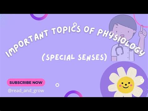 Important Topics Of Chapter Special Senses Physiology YouTube