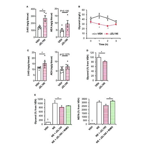 Putative Schematic Representation For The Camp Dependent Lipolysis Download Scientific