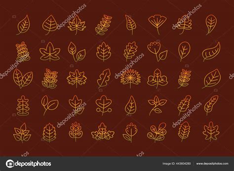 Leaves Line Style Icon Collection Vector Design Stock Vector By