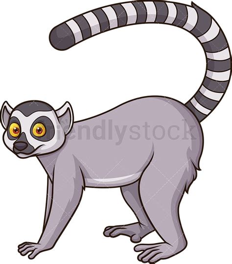 Ring Tailed Lemur Cartoon Clipart Vector - FriendlyStock