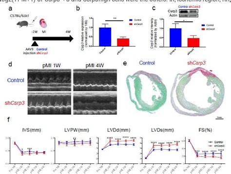 Pdf Spatiotemporal Single Cell Analysis Reveals Critical Roles Of