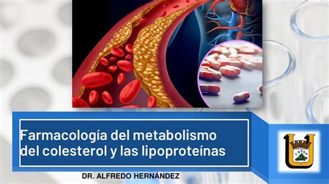 Farmacolog A Del Metabolismo Del Colesterol Y Lipoprote Nas Judith