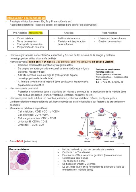 Introducción a la hematología Introducción a la hematología Patología