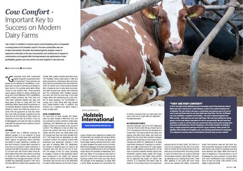 Cow Comfort Important Key To Success On Modern Dairy Farms Spinder