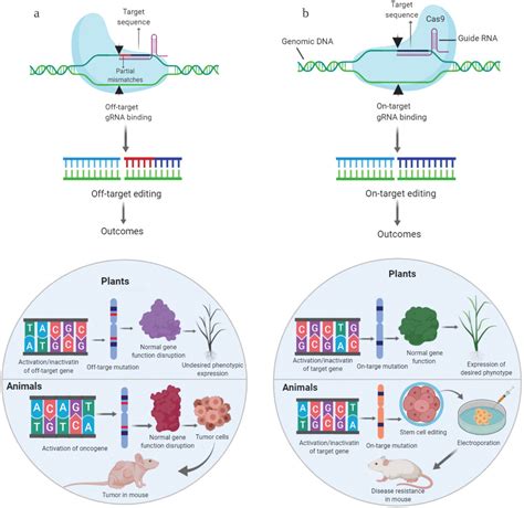 CRISPR Cas Systems In Genome Editing Methodologies And Tools For SgRNA