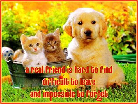 Cute Friendship Quotes, Inspiring Friends Poems, Motivational Friendship Words: 2011-07-24