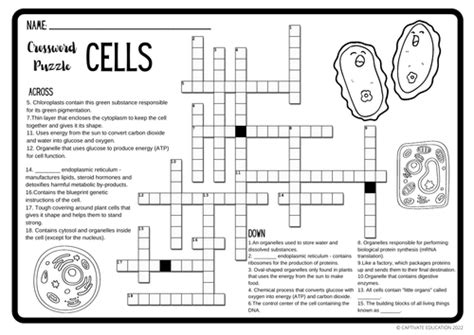 Science Cells Crossword Puzzle Activity Bandw Colored Version