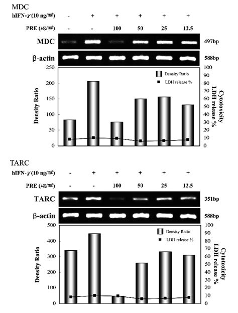 Effects Of The Etoac Fraction Of P Yedoensis Bark On Mdc And Tarc Mrna