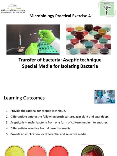 Lab 4 Transfer Of Bacteria Aseptic Techniqueand Culture Media Pdf