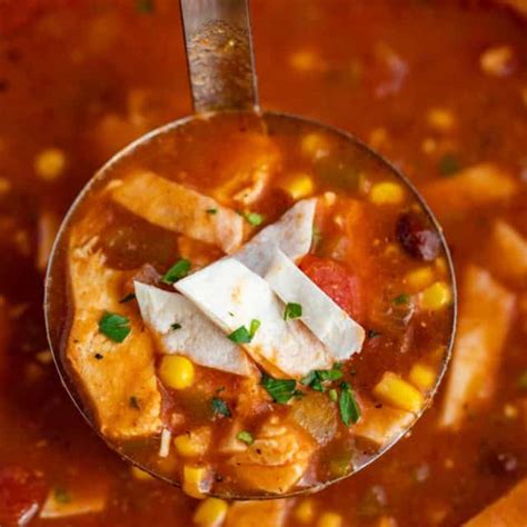 Chicken Tomatillo Soup Recipe Wcanned Tomatillos Dinner Then Dessert