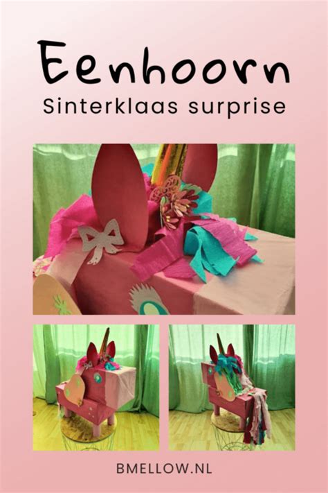 Eenhoorn Sinterklaas Surprise