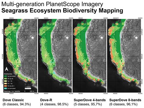 Seagrass Ecosystem Biodiversity Mapping In Part Of Rote Island Using Multi Generation