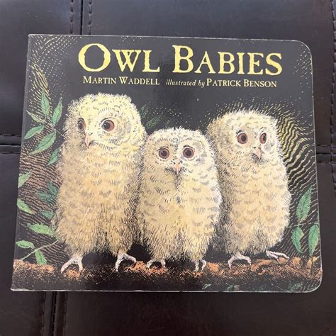 Owl Babies by Martin Waddell, Hardcover | Pango Books