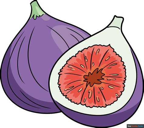 How To Draw A Fig Really Easy Drawing Tutorial The Best Porn Website