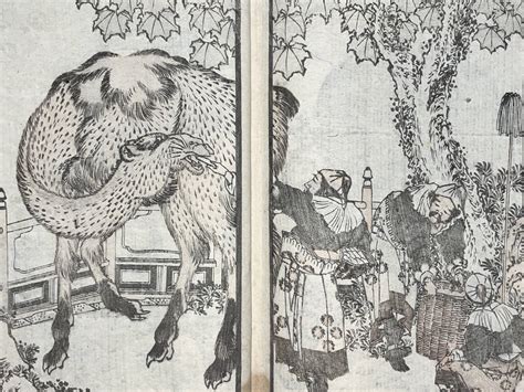 Hanadesu15 北斎漫画 十四編 葛飾北斎 Hokusai 本物 浮世絵 木版画 和本 絵手本 ジャポニズム 猫 アザラシ 狐 猪