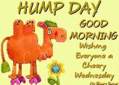 Good Morning Hump Day Pictures Photos And Images For Facebook Tumblr