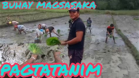 Paraan Ng Pagtatanim Ng Palay Dito Samin Sa Probinsya Layas Motovlog