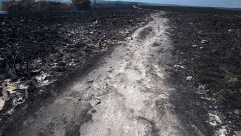 Le Feu Fix Dans Le Sud Des Monts D Arr E Pompiers Toujours