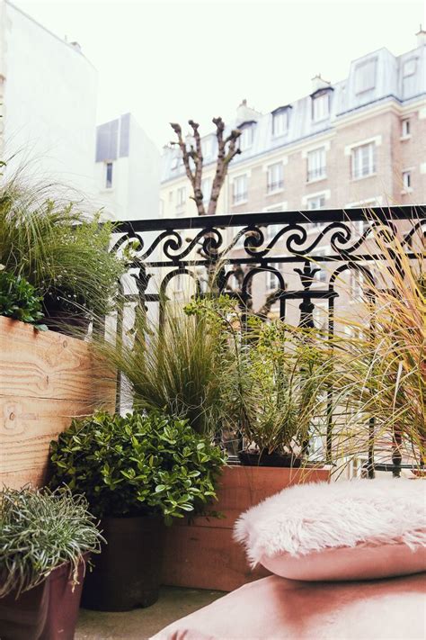 Quelles plantes choisir pour mon balcon ensoleillé Plante balcon