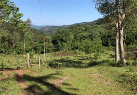 Fazendas na Zona Rural em Gramado Chaves na Mão