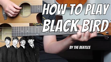 Black Bird By The Beatles Tutorial YouTube