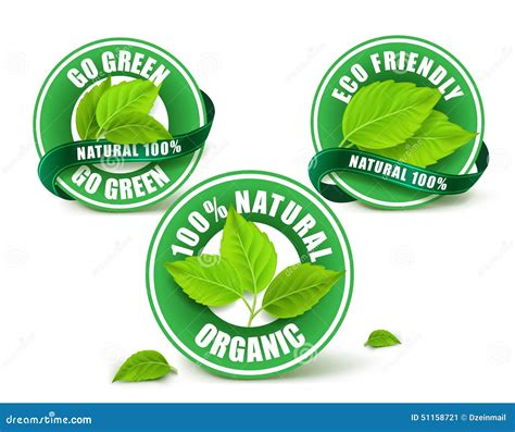 Green Organic Labels Badge Or Seal Set Stock Vector Illustration Of