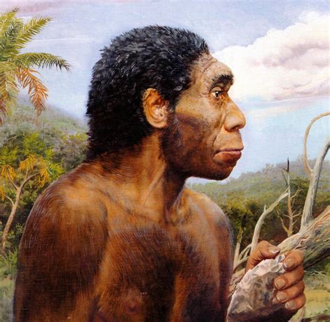 Abrigo Homo Erectus 14 Origin Of Modern Humans | SpringerLink