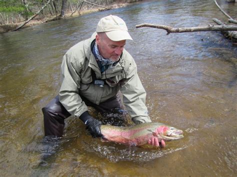 Complete Guide To Fly Fishing With The Zebra Midge Simple To Tie