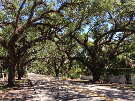 Coral Way Coral Gables Phillip Pessar Flickr