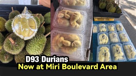 D93 Durians Now At Miri Boulevard Area Miri City Sharing