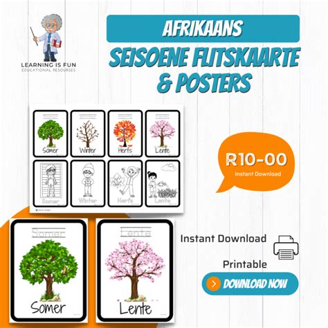 Afrikaans Seasons Flashcards And Posters • Teacha