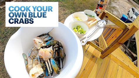 Blue Crabs How To Catch Clean And Cook Youtube