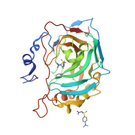 Rcsb Pdb Bzz Crystal Structure Of Carbonic Anhydrase