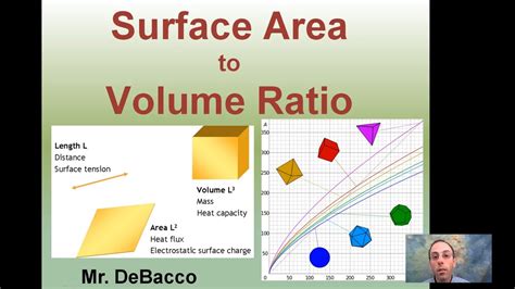 How To Find Surface Area To Volume Ratio Cell