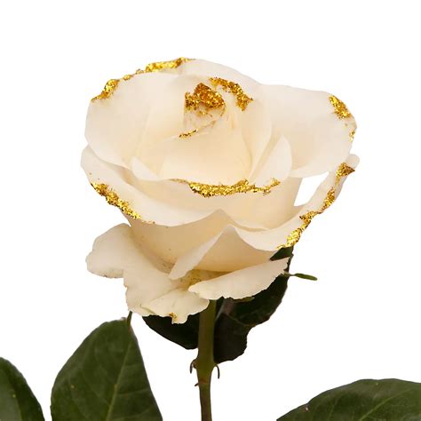 White Glitter Roses Bjs Wholesale Club