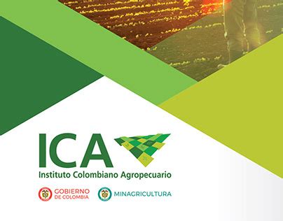 ICA Brochure Projects Photos Videos Logos Illustrations And