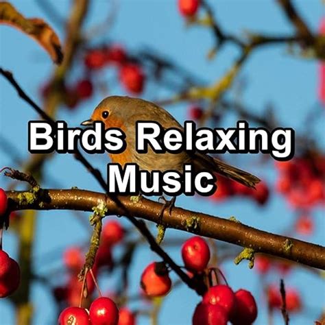 Birds Relaxing Music Von Loopable Birds And Birds And Nature Bird Sounds