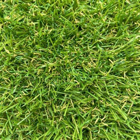 Fern Artificial Grass Perfect Grass Ltd